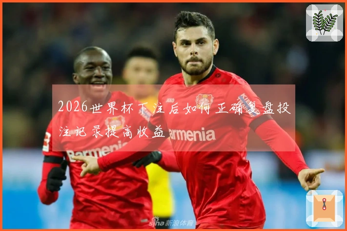 2026世界杯下注后如何正确复盘投注记录提高收益